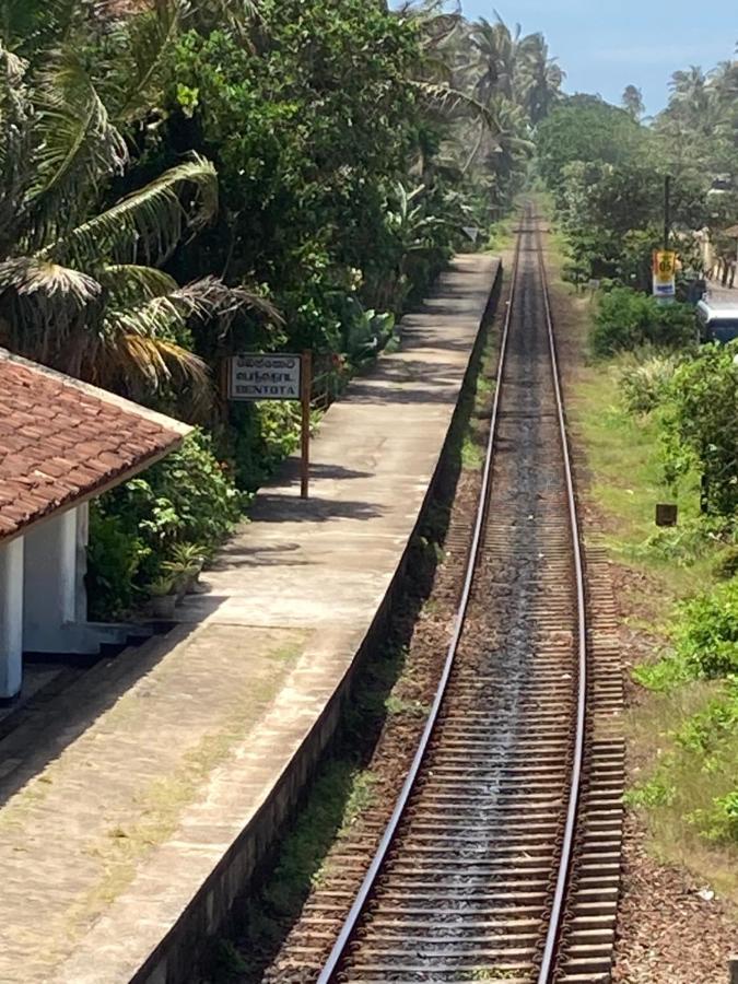 Channa Villa & Tours Bentota Exteriér fotografie