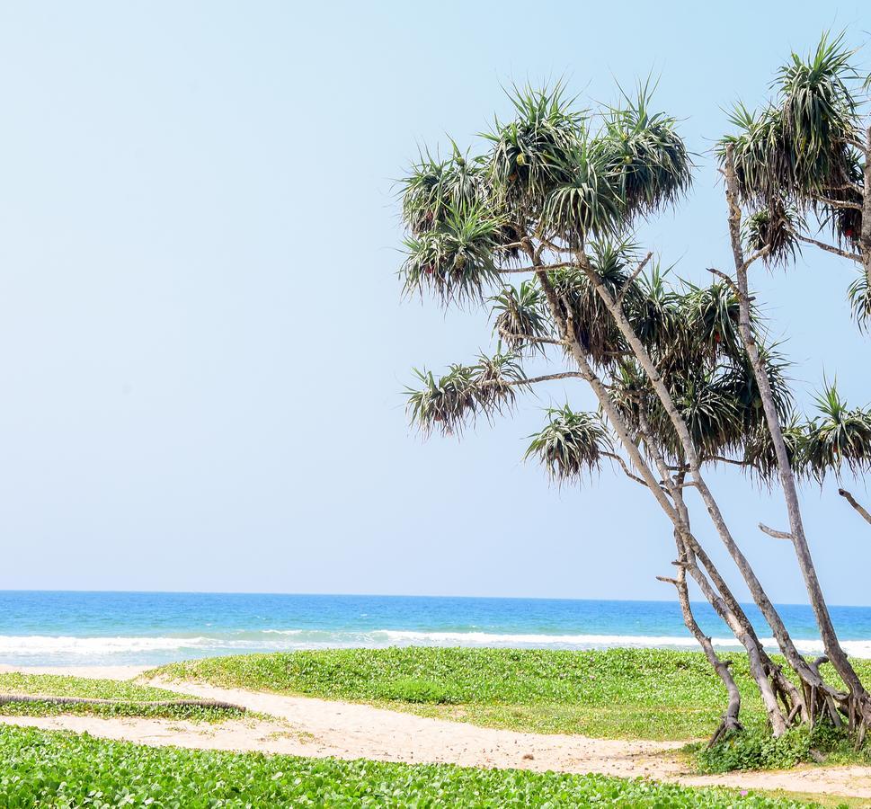 Channa Villa & Tours Bentota Exteriér fotografie